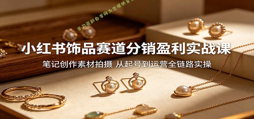 小红书饰品赛道分销盈利实战课:笔记创作素材拍摄,从起号到运营全链路实操-为您提供全面学习资料信息资源学习资料自学网