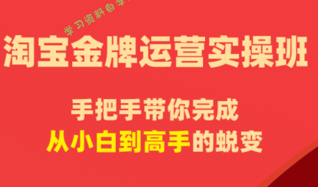 飓风电商·淘宝金牌运营实操班-为您提供全面学习资料信息资源学习资料自学网