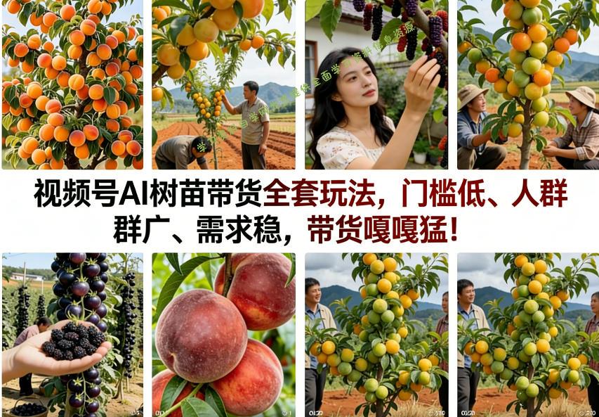 视频号AI树苗带货全套玩法，门槛低、人群广、需求稳，带货嘎嘎猛！(更新0426)-为您提供全面学习资料信息资源学习资料自学网