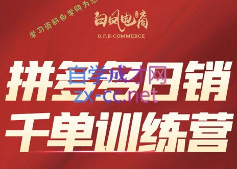 白凤电商·拼多多日销千单训练营(更新4月)-为您提供全面学习资料信息资源学习资料自学网