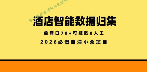 酒店智能数据归集,小众蓝海已经稳定半年之久,单窗口70+零成本矩阵开干【揭秘】