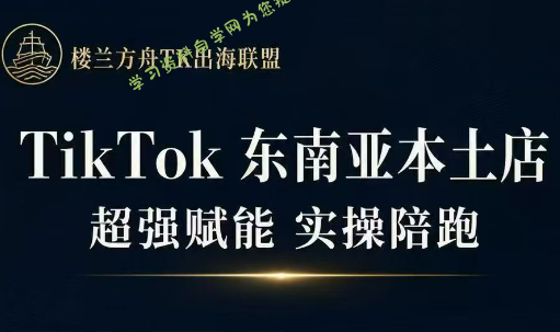 三叔·TikTok东南亚本土店实操(更5月)-为您提供全面学习资料信息资源学习资料自学网