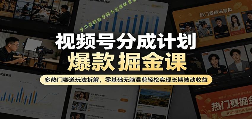 视频号分成计划爆款掘金课：多热门赛道玩法拆解，零基础无脑混剪轻松实现长期被动收益 - - 