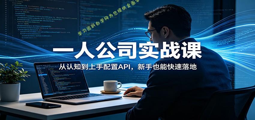 一人公司实战课：从认知到上手配置API，新手也能快速落地 - - 
