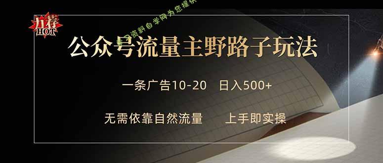 公众号流量主野路子玩法 单条广告10-20元 日入500+-免费学习资料下载_自媒体课程资源学习资料自学网