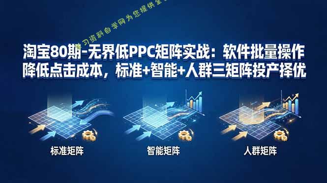 淘宝80期-无界低PPC矩阵实战：软件批量操作降低点击成本，标准+智能+人群三矩阵投产择优 - 