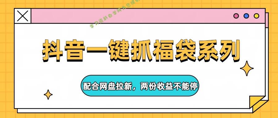 抖音一键抓福袋系列，配合网盘拉新，两份收益不能停 - - 