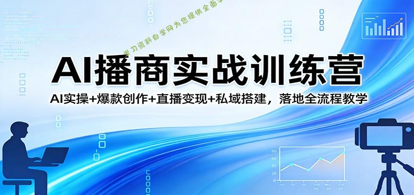 AI播商实战训练营：AI实操+爆款创作+直播变现+私域搭建，落地全流程教学 - - 