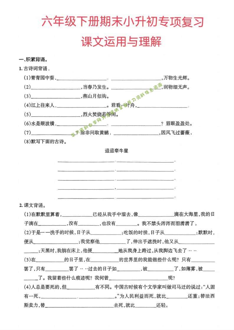 六年级下语文小升初课文运用与理解专项练习 - - 
