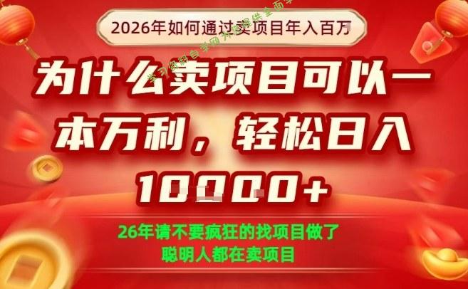 一单净利润1K+，26年想年入100个W，死磕卖项目就够了【揭秘】 - - 