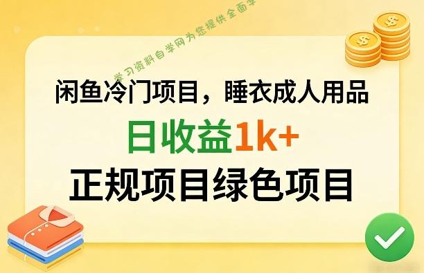 闲鱼冷门项目，情趣内衣成人用品，日收益1k+，正规项目绿色项目 - - 