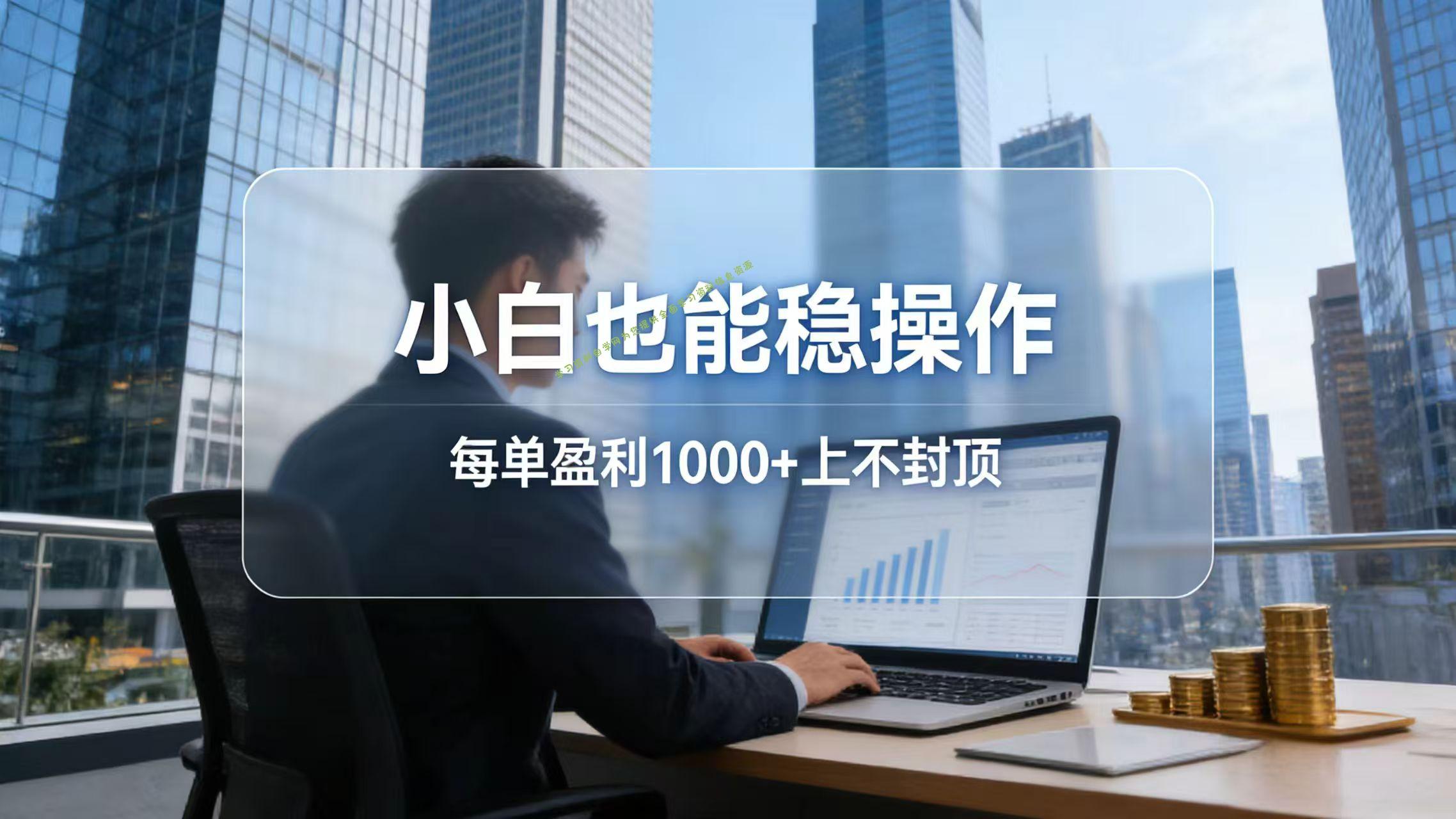 2026新项目，小白也能稳操作，每单盈利1000+上不封顶 - - 