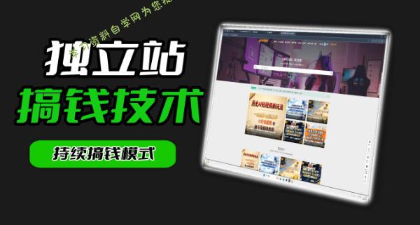 干货来袭！麦子甜带你吃透独立站｜从搭建到引流一站式教学《独立站》第一期 - - 