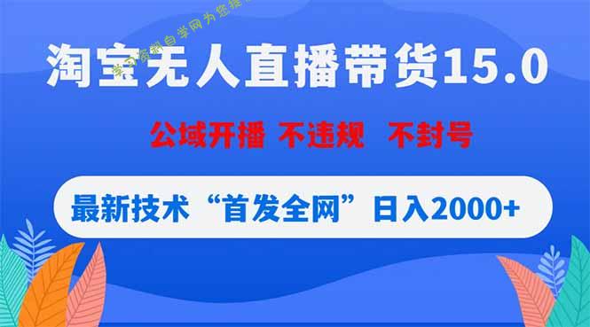 淘宝无人直播带货15.0，不封号，不违规，公域玩法，首发全网日入2000+ - - 