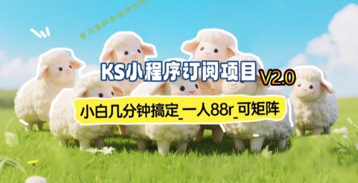 【新一期】小程序订阅_小白几分钟70-80r，可矩阵(已测到账) - 