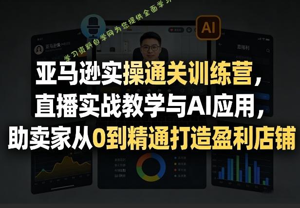 亚马逊实操通关训练营,直播实战教学与AI应用,助卖家从0到精通打造盈利店铺(更新5月23日)