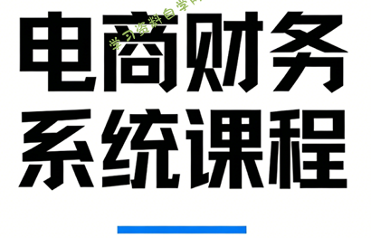 郑老师·电商财务系统课程 - 