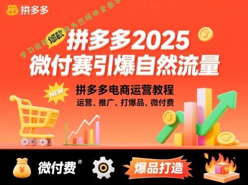 拼多多微付费引爆自然流量,拼多多电商运营教程,运营、推广、打爆品、微付费(更新26年2月)