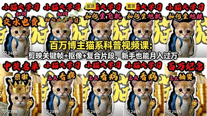百万博主猫系科普视频课：剪映关键帧+抠像+复合片段，新手也能月入过万 - 