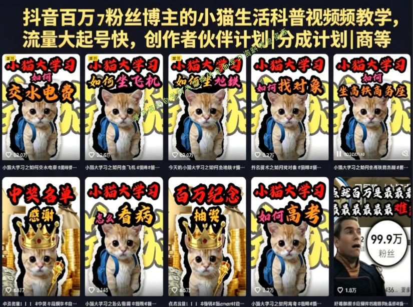 抖音百万粉丝博主的小猫生活科普视频教学，流量大起号快，创作者伙伴计划|分成计划|商单|收徒等 - 