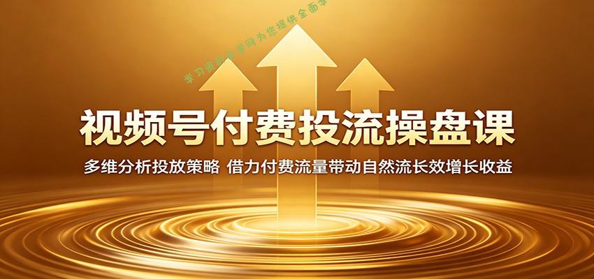 视频号付费投流操盘课：多维分析投放策略，借力付费流量带动自然流长效增长收益 - 