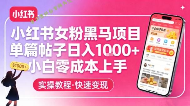 小红书女粉黑马项目，单篇帖子日入1k+，小白零成本上手 - 