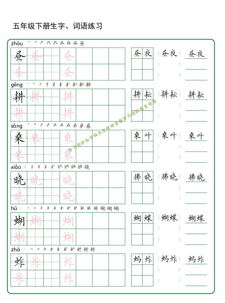 五年级下册语文生字词语练字（秋版） - - 