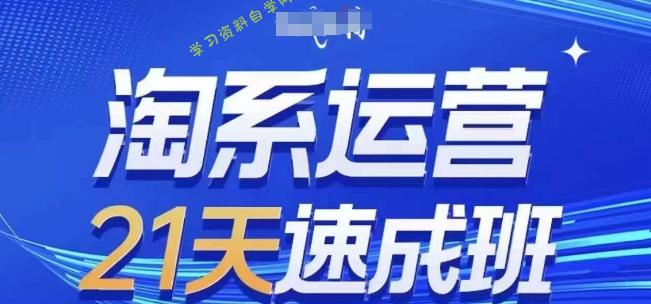 淘系运营21天速成班，0基础轻松搞定淘系运营，不做假把式，快速复制落地(更新26年5月) - 